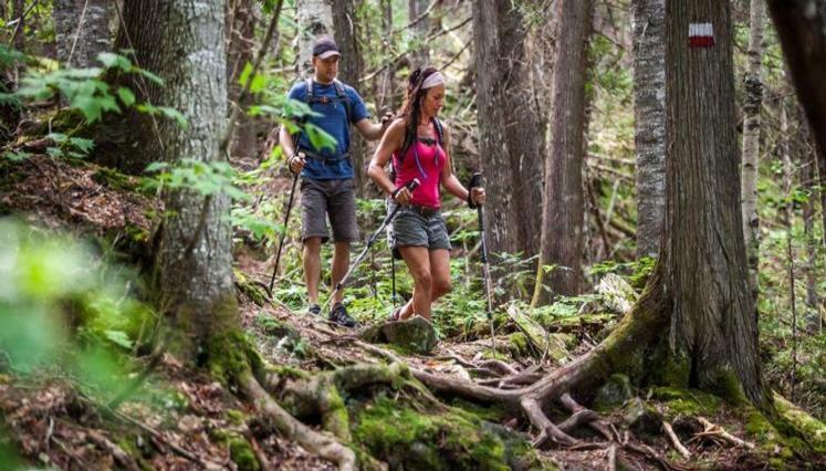 Le Nid doré sur le lac  Val des Monts Exterior foto